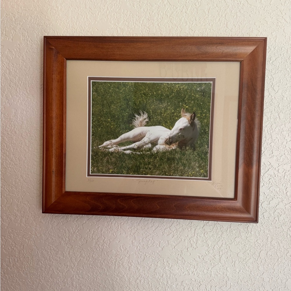 Framed Horse Art Print